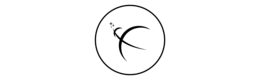 Sidereus Space Dynamics logo